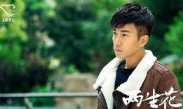 两生花电视剧全集在线观看,穿越时空的浪漫奇缘